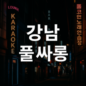 강남풀싸롱 대체 이미지
